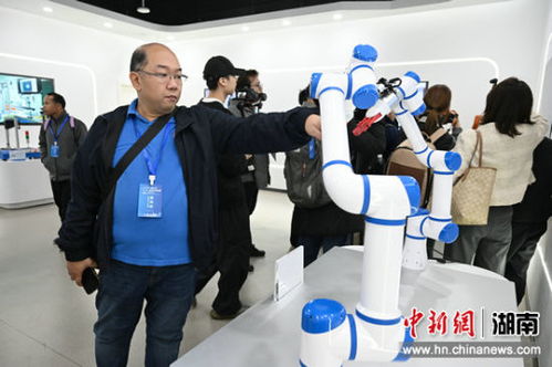 海外媒體探訪長沙高新企業 聚焦智能機器人前沿研發實力